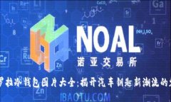 卡罗拉冷钱包图片大全:揭开汽车钥匙新潮流的