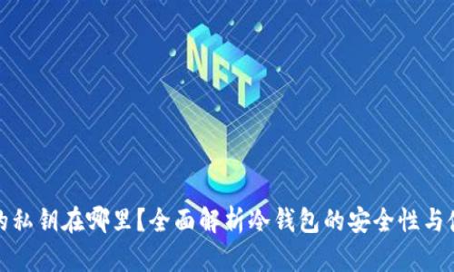 冷钱包的私钥在哪里?全面解析冷钱包的安全性与使用技巧