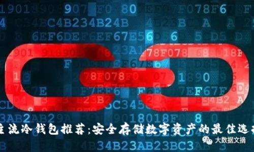 主流冷钱包推荐:安全存储数字资产的最佳选择