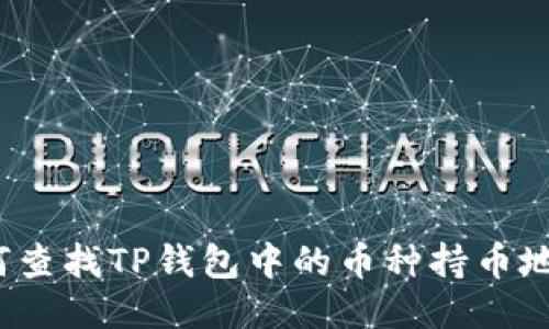 如何查找TP钱包中的币种持币地址?