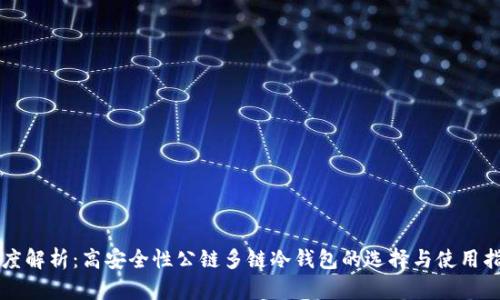 深度解析:高安全性公链多链冷钱包的选择与使用指南