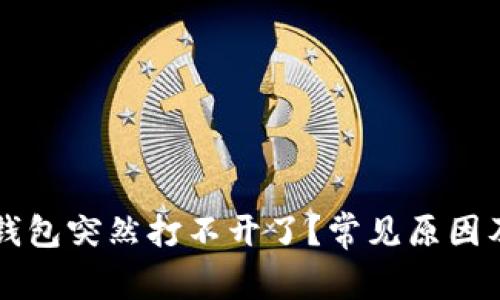 为什么TP钱包突然打不开了?常见原因及解决方案