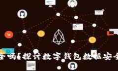 TP钱包删除安全吗?探讨数字钱包数据安全性与隐