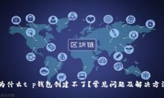 为什么t p钱包创建不了?常见问题及解决方法
