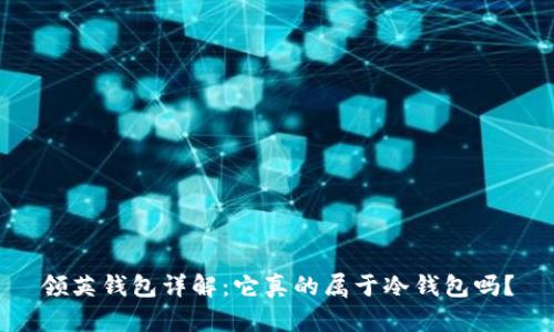 领英钱包详解:它真的属于冷钱包吗?