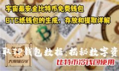 黑客如何盗取TP钱包数据:揭秘数字资产安全隐患