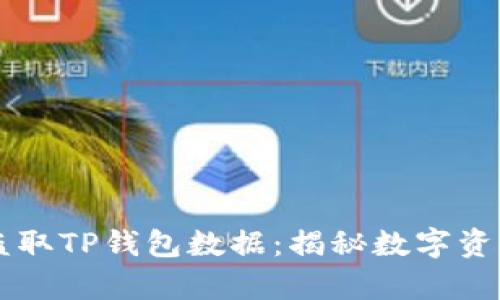 黑客如何盗取TP钱包数据：揭秘数字资产安全隐患